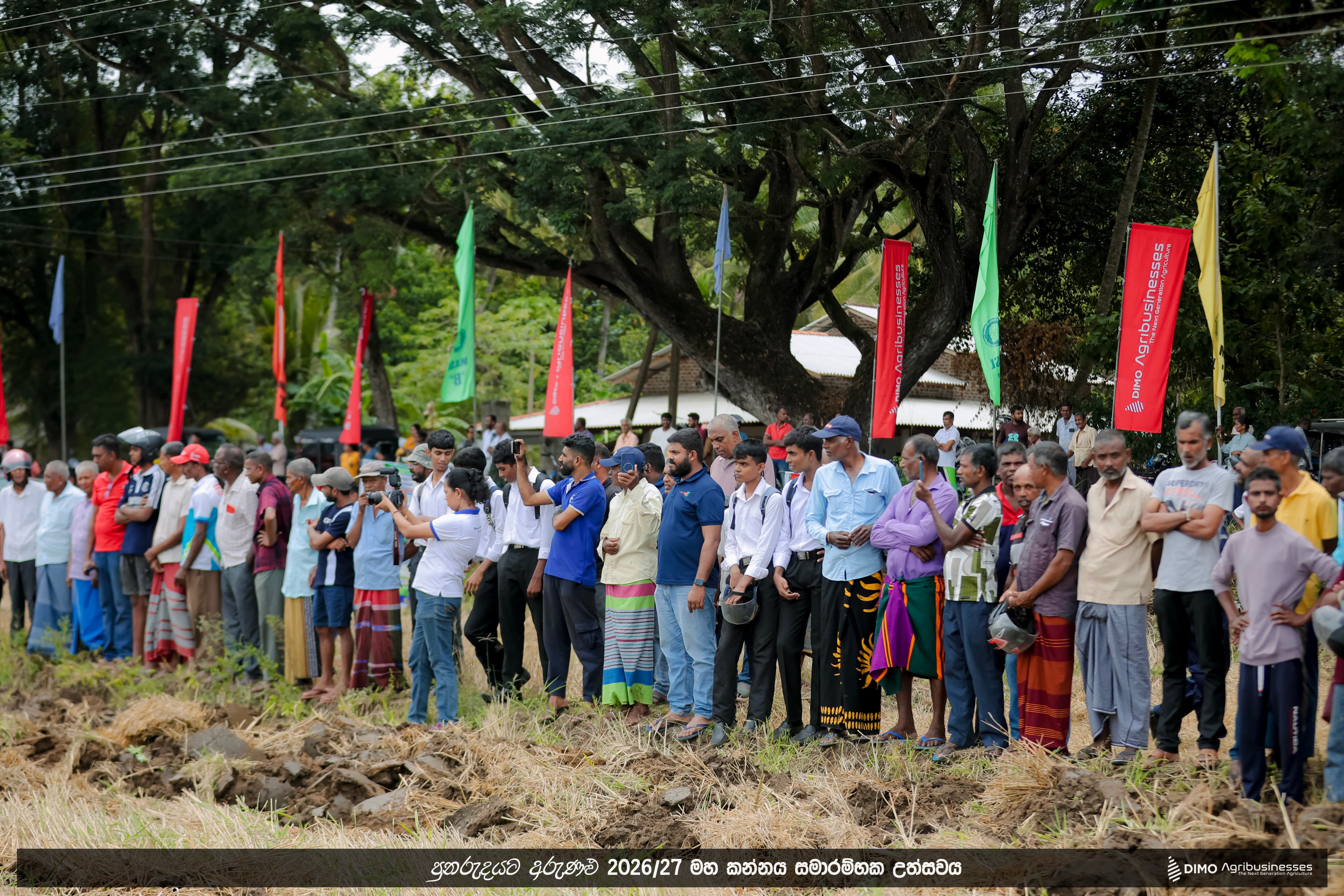 Maha Kannaya Starting Ceremony - DIMO - Image 4
