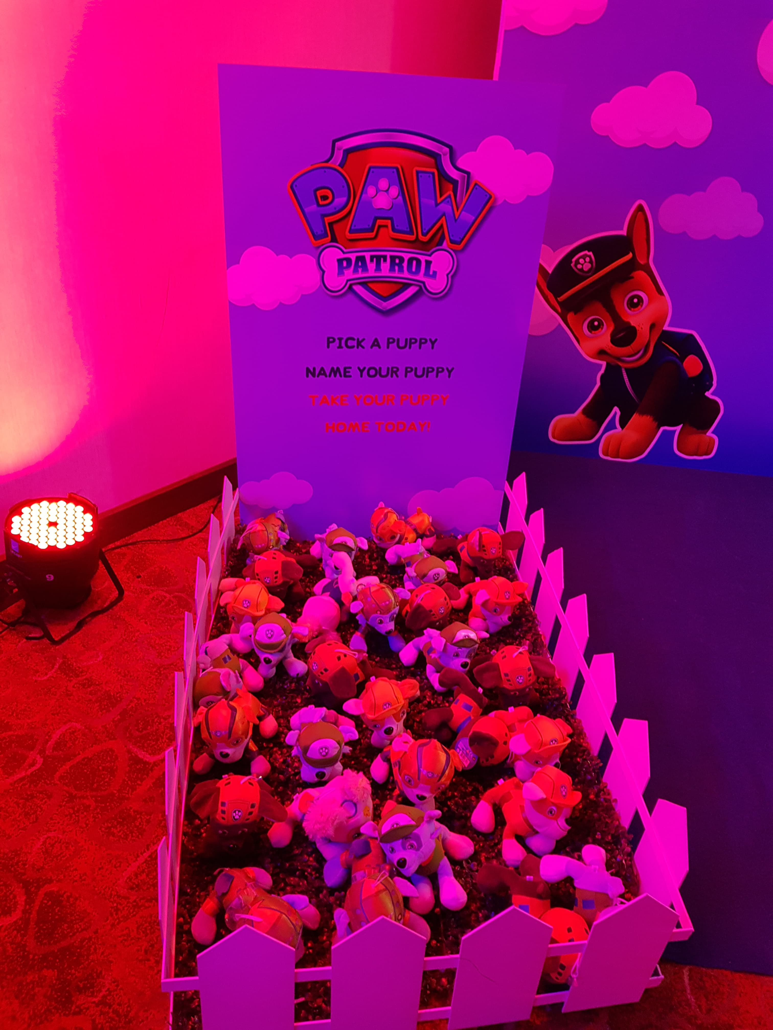 Birthday Event - Image 3