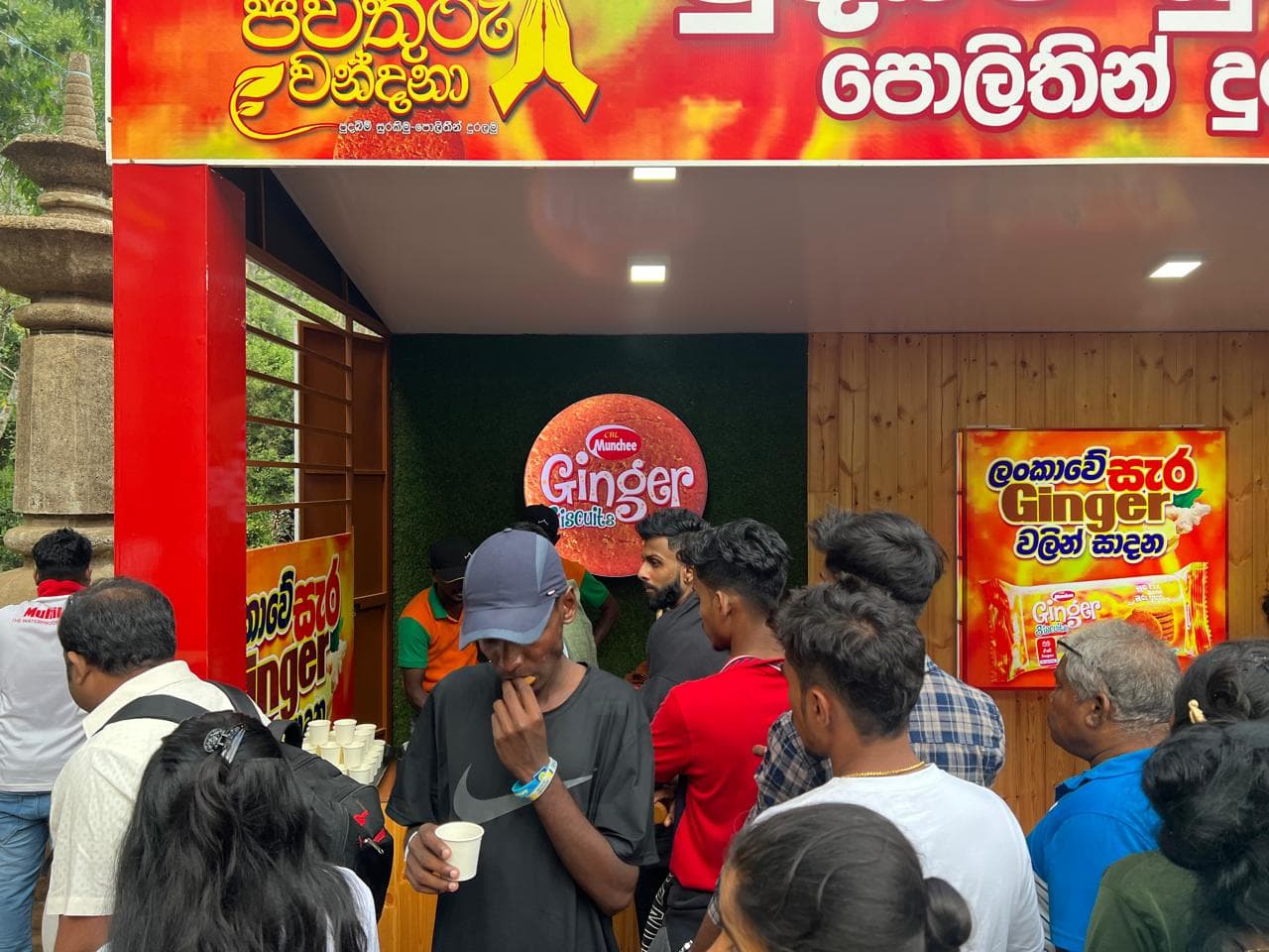 Ginger Sri Pada - Image 8